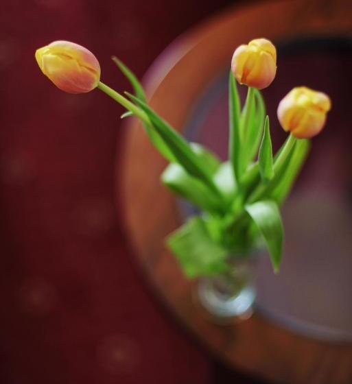 اتاق لوکس, Lila Medical Spa