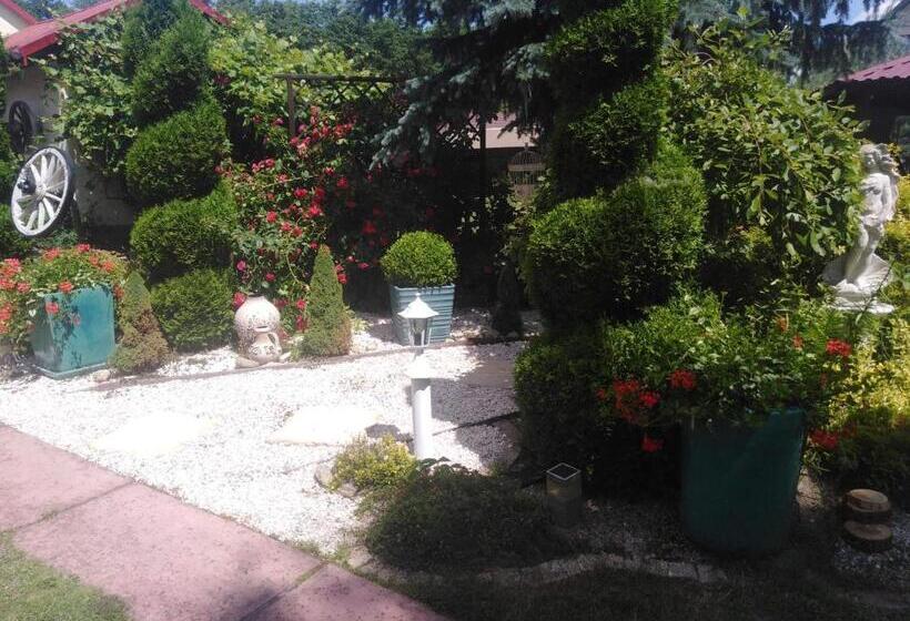 シャレー1寝室, Chata Magnata