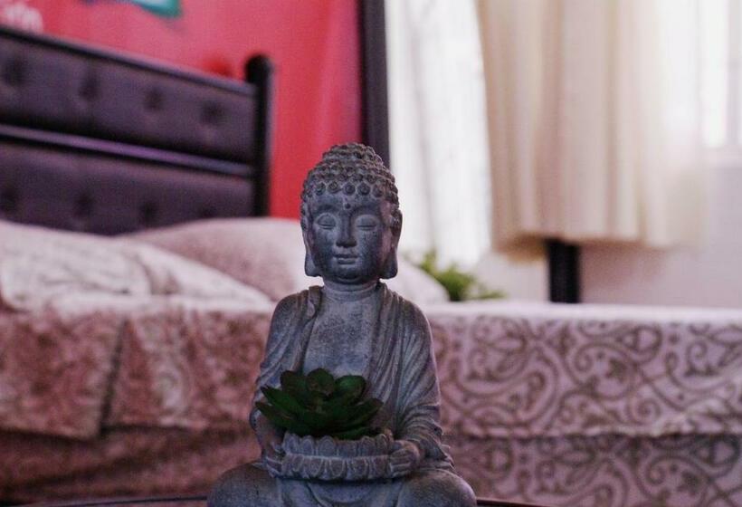 Номер Стандарт Совместная Ванная, Free Spirit Hostel Guadalajara