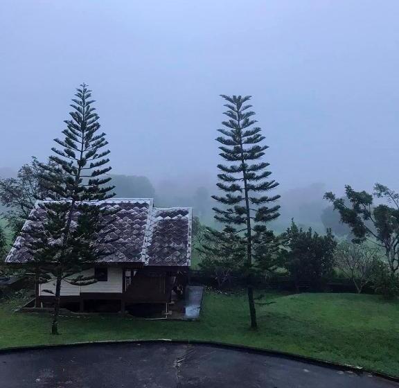 Standard Room, นุชจนาถรีสอร์ท วังน้ำเขียว