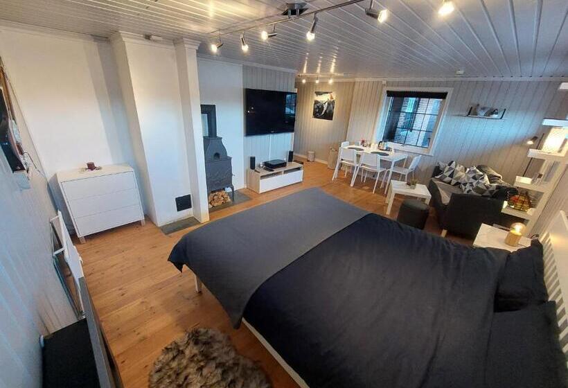 شقة غرفة واحدة ذات إطلالة, In Love With Norway