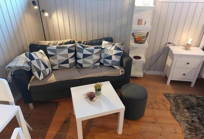 شقة غرفة واحدة ذات إطلالة, In Love With Norway