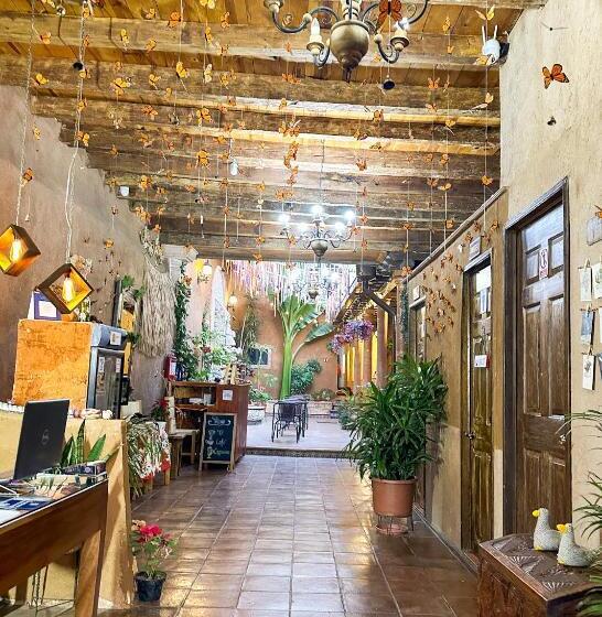 스탠다드 룸 킹사이즈 침대, Posada El Palomar