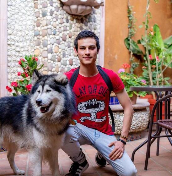 디럭스 룸, Posada El Palomar