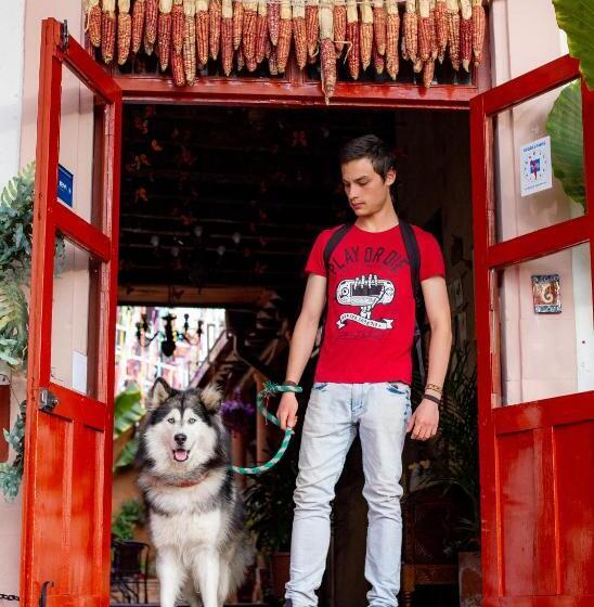 디럭스 룸, Posada El Palomar