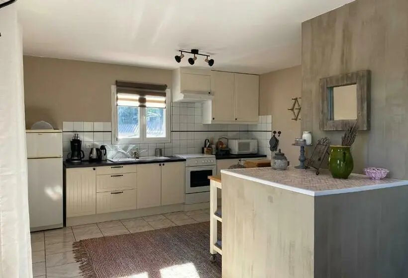 Perhestudio, L Eveil En Provence