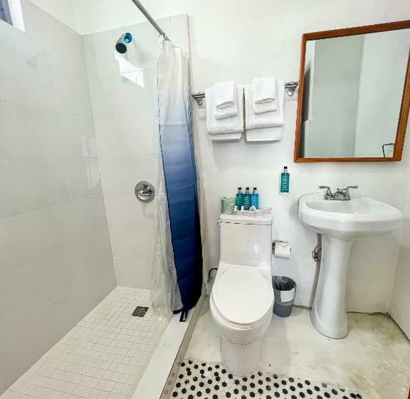 اتاق لوکس, Urbana