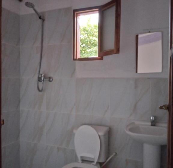 اتاق استاندارد, Samailandia