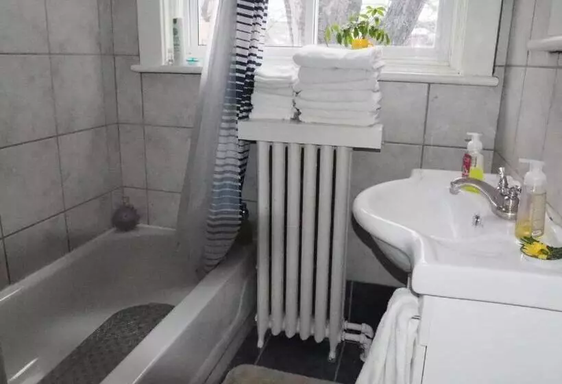 اتاق استاندارد با سرویس بهداشتی مشترک, Downtown Bed And Breakfast