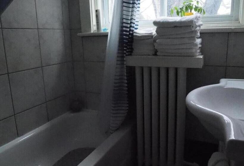 バス共有のスタンダードルーム, Downtown Bed And Breakfast