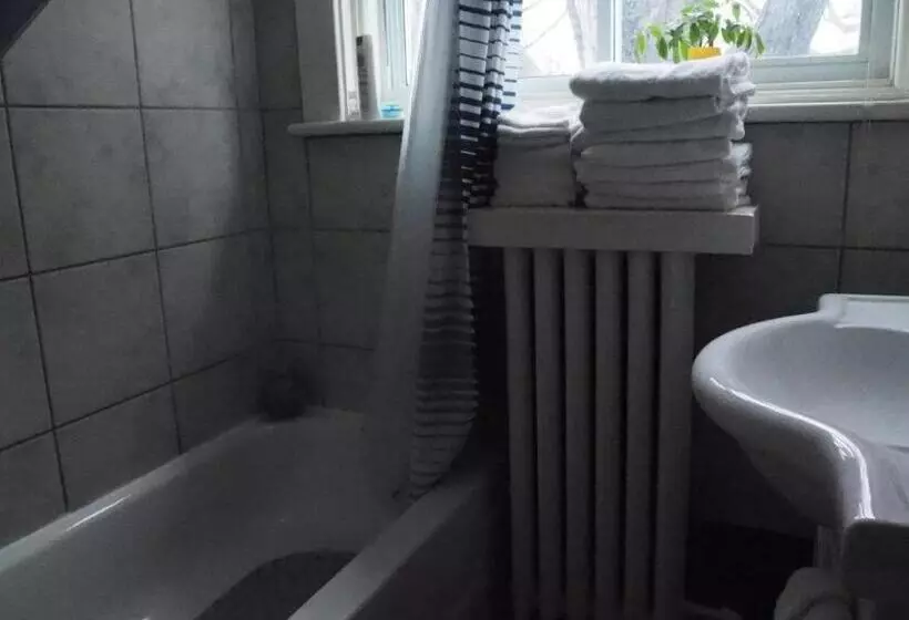 اتاق استاندارد چهارنفره با سرویس بهداشتی مشترک, Downtown Bed And Breakfast