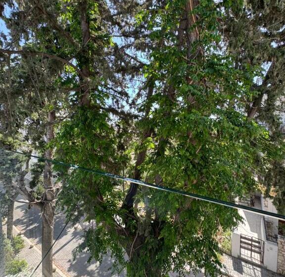 スタンダードトリプルルーム, Catherine