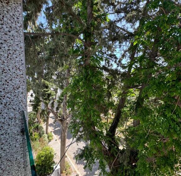 スタンダードトリプルルーム, Catherine