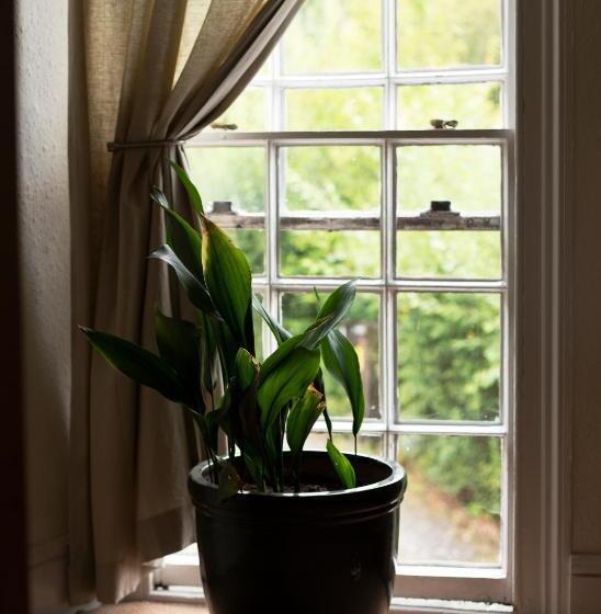 ジュニアスイート, New Inn