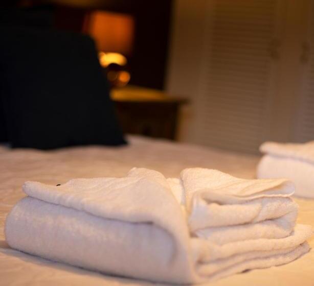 エクゼクティブトリプル, New Inn