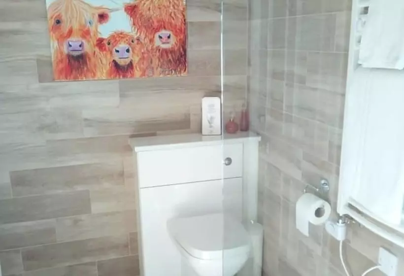 Standard Yhden Hengen Huone, Inchrye Bed & Breakfast