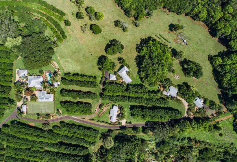 فيلا غرفتين نوم, Byron Hinterland Villas