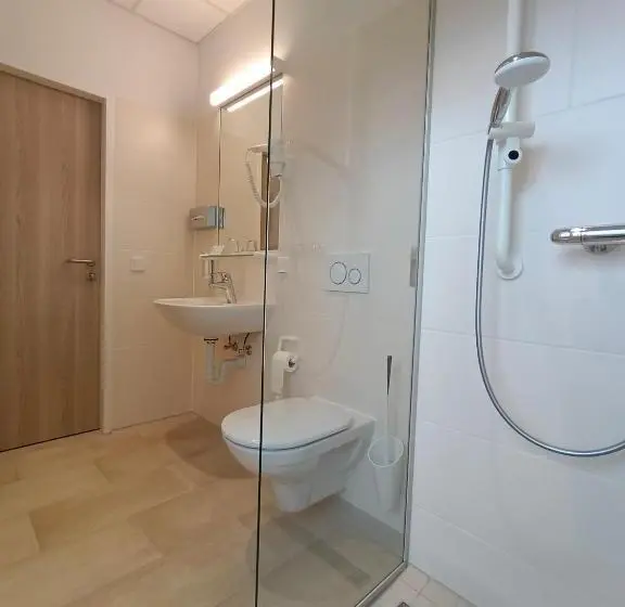 スタンダードシングルルーム, Gesundheits  & Wellnessresort Salzerbad