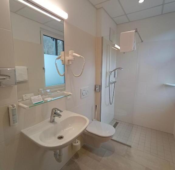 Номер Стандарт Индивидуальный, Gesundheits  & Wellnessresort Salzerbad