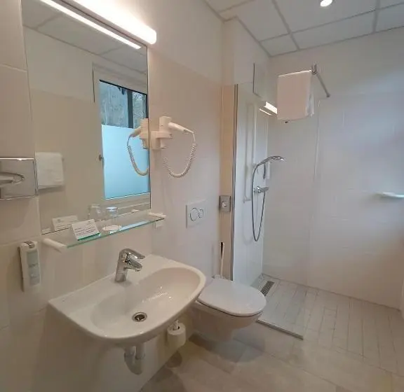 スタンダードシングルルーム, Gesundheits  & Wellnessresort Salzerbad