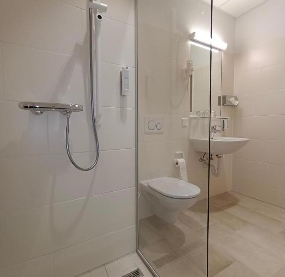 스탠다드 룸, Gesundheits & Wellnessresort Salzerbad