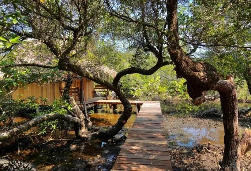 スタンダードルーム, Lily S Riverhouse