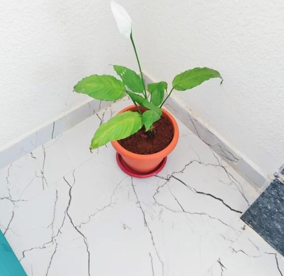 キングサイズベッドのデラックスルーム, Keerthis Royal Suites Kempegowda International Airport