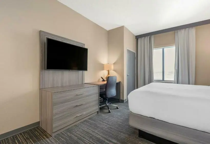キングサイズベッドのスイートルーム, Pestana Orlando Suites Lake Buena Vista