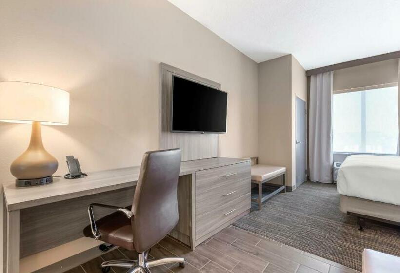 سوئیت با تخت بزرگ, Pestana Orlando Suites Lake Buena Vista