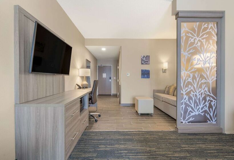 سوئیت مستر, Pestana Orlando Suites   Lake Buena Vista