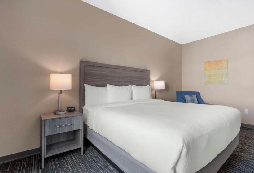 اتاق استاندارد با تخت بزرگ, Pestana Orlando Suites   Lake Buena Vista