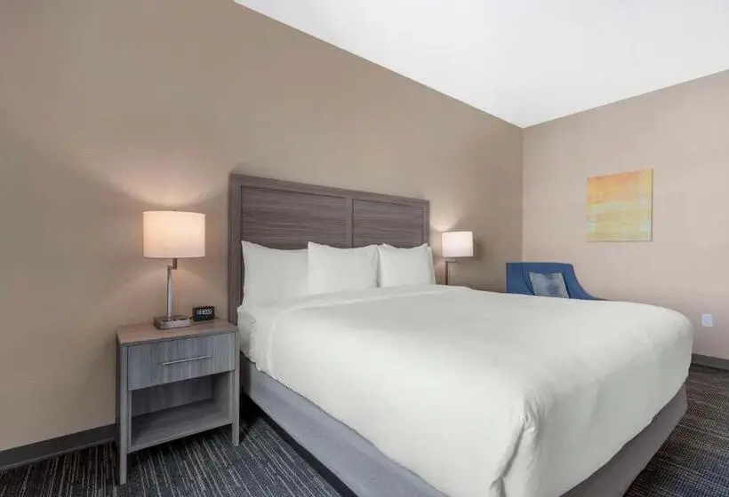 Standard Room King Size Bed