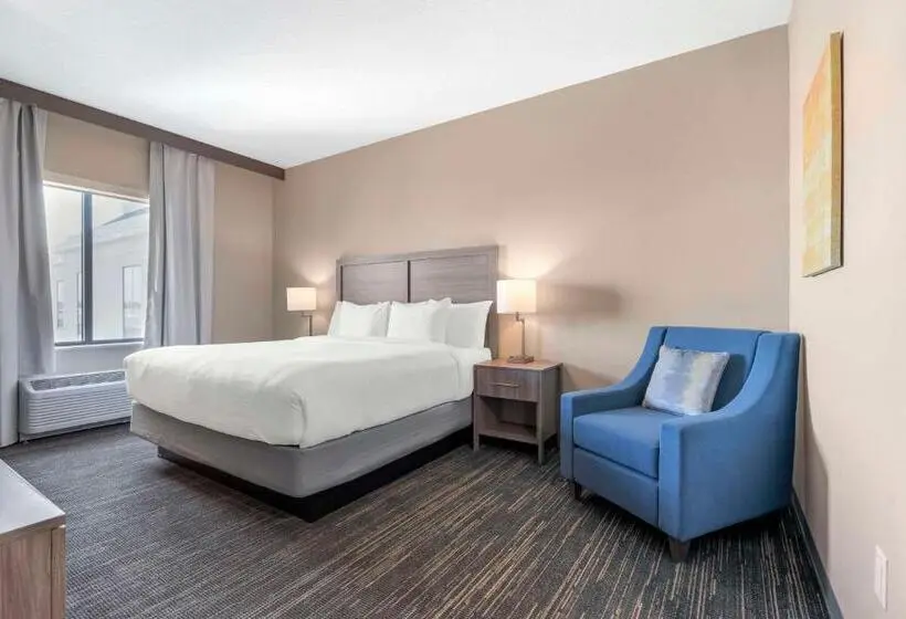 キングサイズベッドのスタンダードルーム, Pestana Orlando Suites Lake Buena Vista