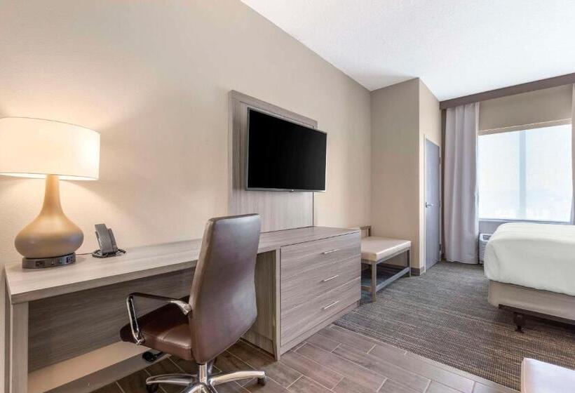 سوئیت با تخت بزرگ, Pestana Orlando Suites Lake Buena Vista