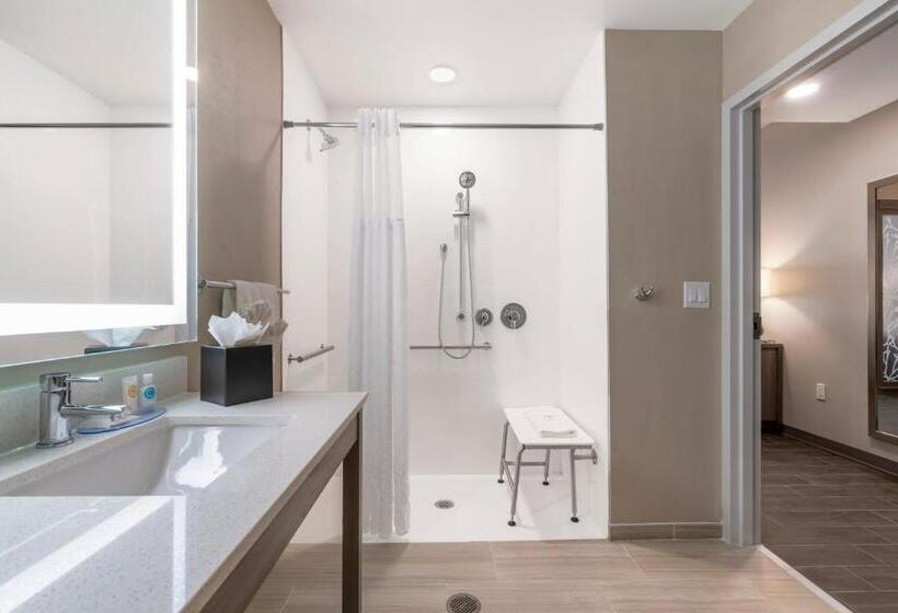 اتاق استاندارد سه نفره, Pestana Orlando Suites Lake Buena Vista