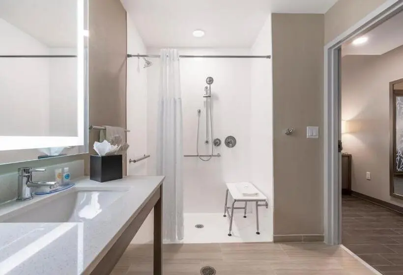 スタンダードトリプルルーム, Pestana Orlando Suites Lake Buena Vista