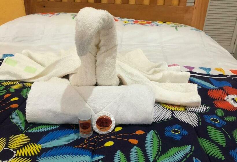 スタンダード4人部屋, Los Robles