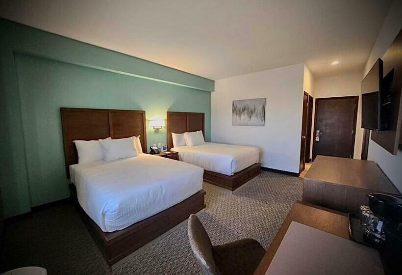 اتاق استاندارد چهار تخته, Comfort Inn Ciudad Juarez