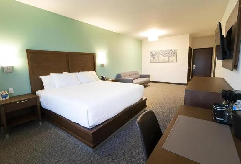سوئیت با تخت بزرگ, Comfort Inn Ciudad Juarez