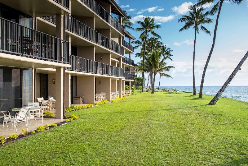 带大床的套房, Comfort Inn Ciudad Juarez