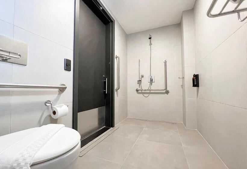 Номер Стандарт Адаптированный для Инвалидов, Ibis Styles Maceió Pajuçara