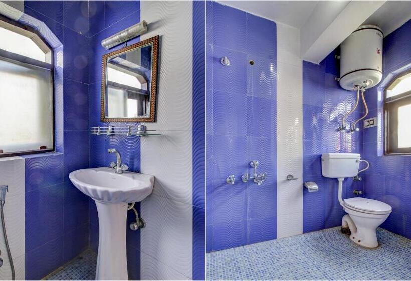 Номер Стандарт, O Delhi Star