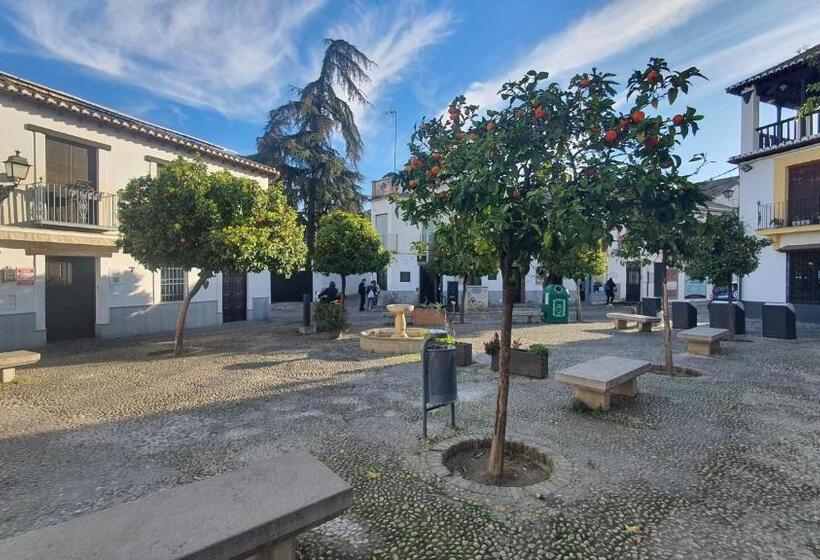 דירה בת חדר שינה 1 עם מרפסת, Casa Morena Mia Apartamentos