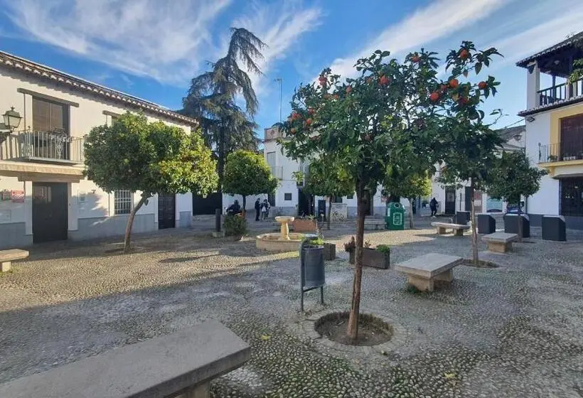استودیوی لوکس, Casa Morena Mia Apartamentos