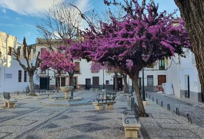 آپارتمان 1 خوابه همکف, Casa Morena Mia Apartamentos