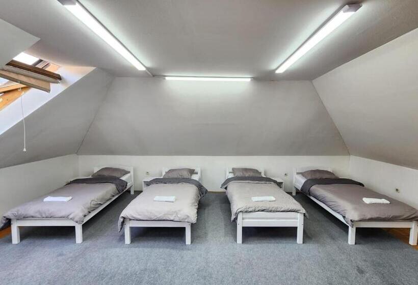 تختخواب در اتاق مشترک, Hostel Center