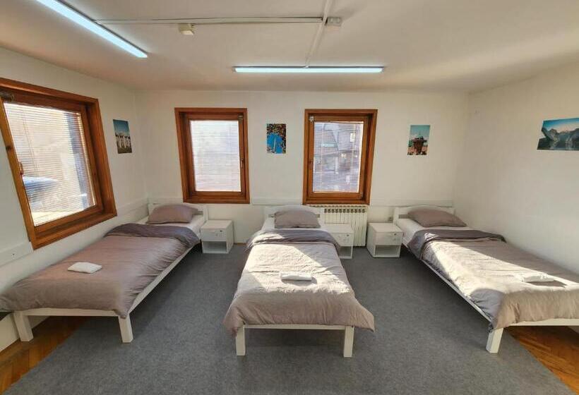 تختخواب در اتاق مشترک, Hostel Center