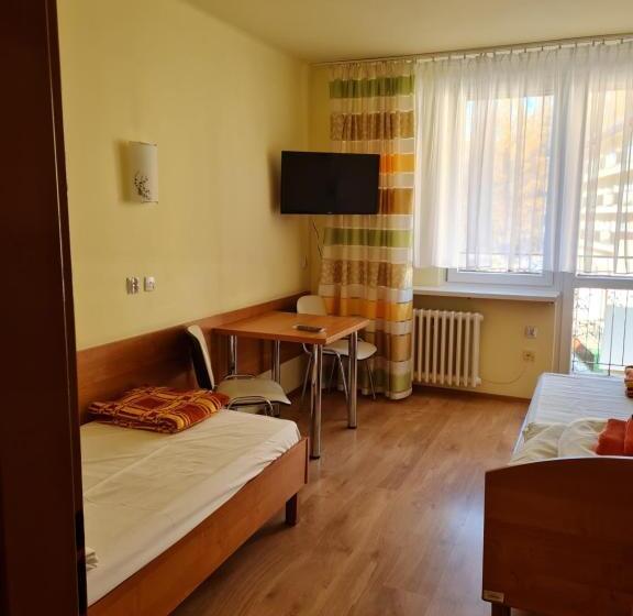 اتاق استاندارد با بالکن, Sp Zoz Sanatorium Uzdrowiskowe Mswia W Krynicy Zdroju