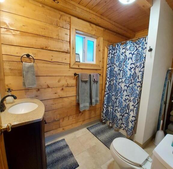 一居室高级别墅, Hatcher Pass Cabins