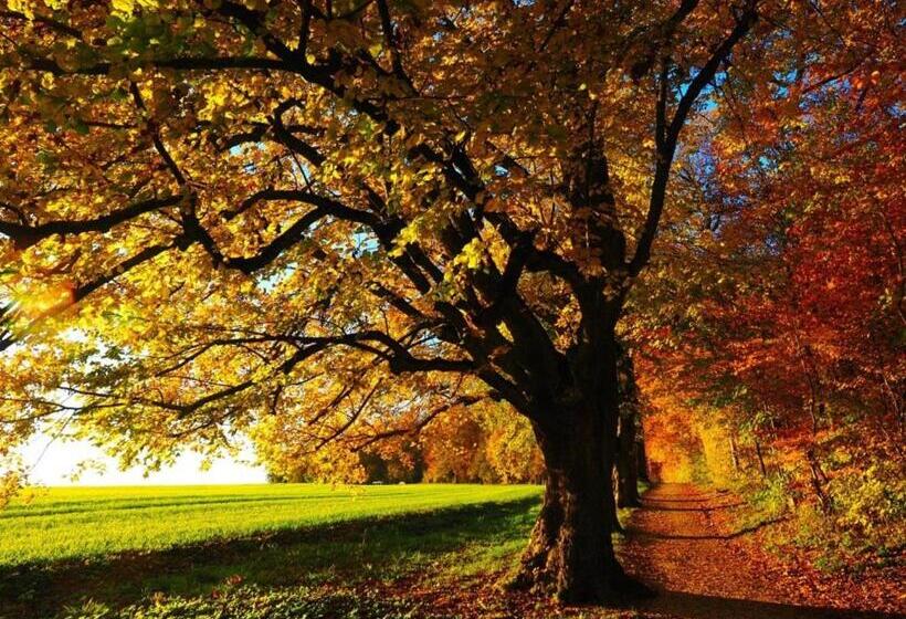 غرفة سوبيريور, The Inn At Stony Creek